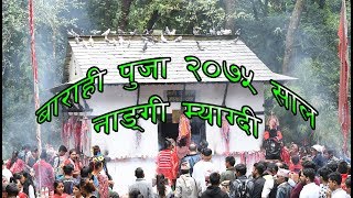 Barahi pooja 2075 nangi myagdi l janaipurnima 2075 l mobile videography