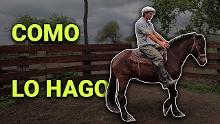 Como hacer que mi caballo recule o retroceda sin violencia