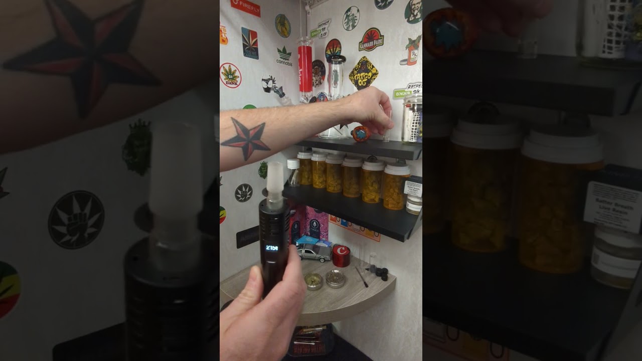 Strain of the day (White Super Skunk)