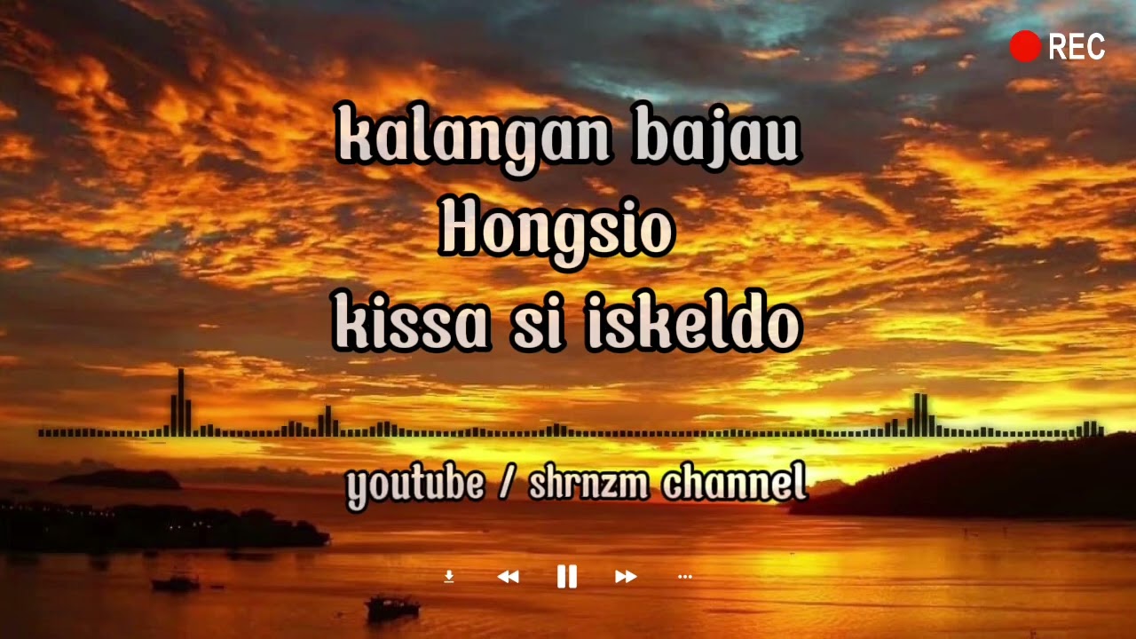 Hongsio | kissa kissa |