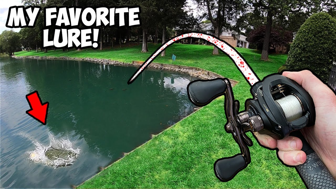 Is this the BEST BASS FISHING LURE EVER??? (Pond Bass Fishing)