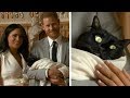 Prince Harry and Meghan Markle introduce their new cat