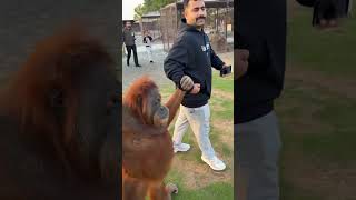 Download Lagu COME WITH US HABOOBA #abduuu_21 #abduvlog MP3