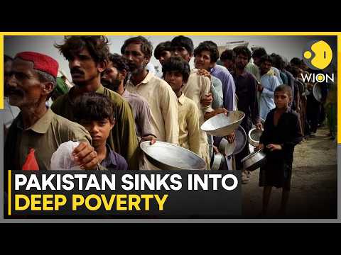 Pakistan's Economic Survey Shows Worsening Household Conditions | WION News