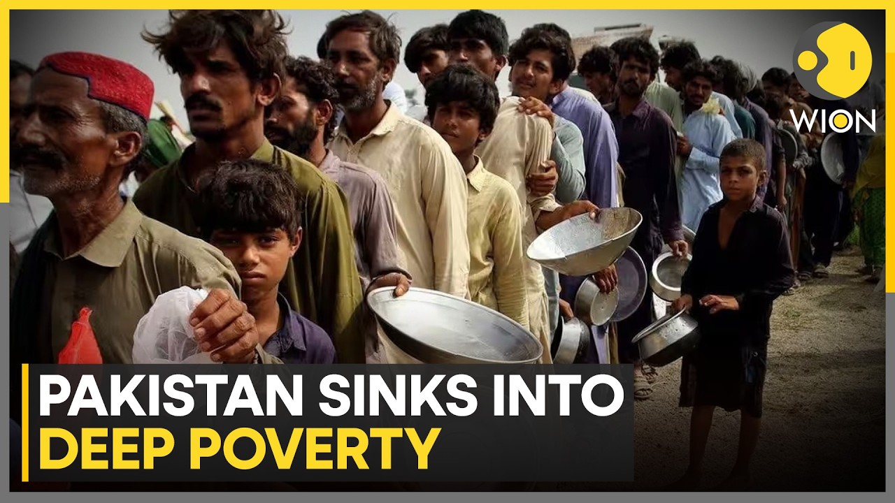 Pakistan's Economic Survey Shows Worsening Household Conditions | WION News