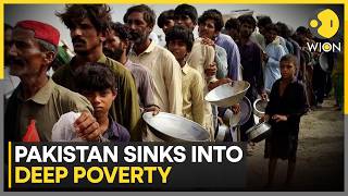 Pakistan's Economic Survey Shows Worsening Household Conditions | WION News