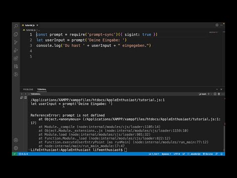 JavaScript | Accepting user input (ALSO: Troubleshooting with VS Code)