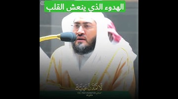 هدوء الشيخ بندر بليلة في تلاوة بديعة