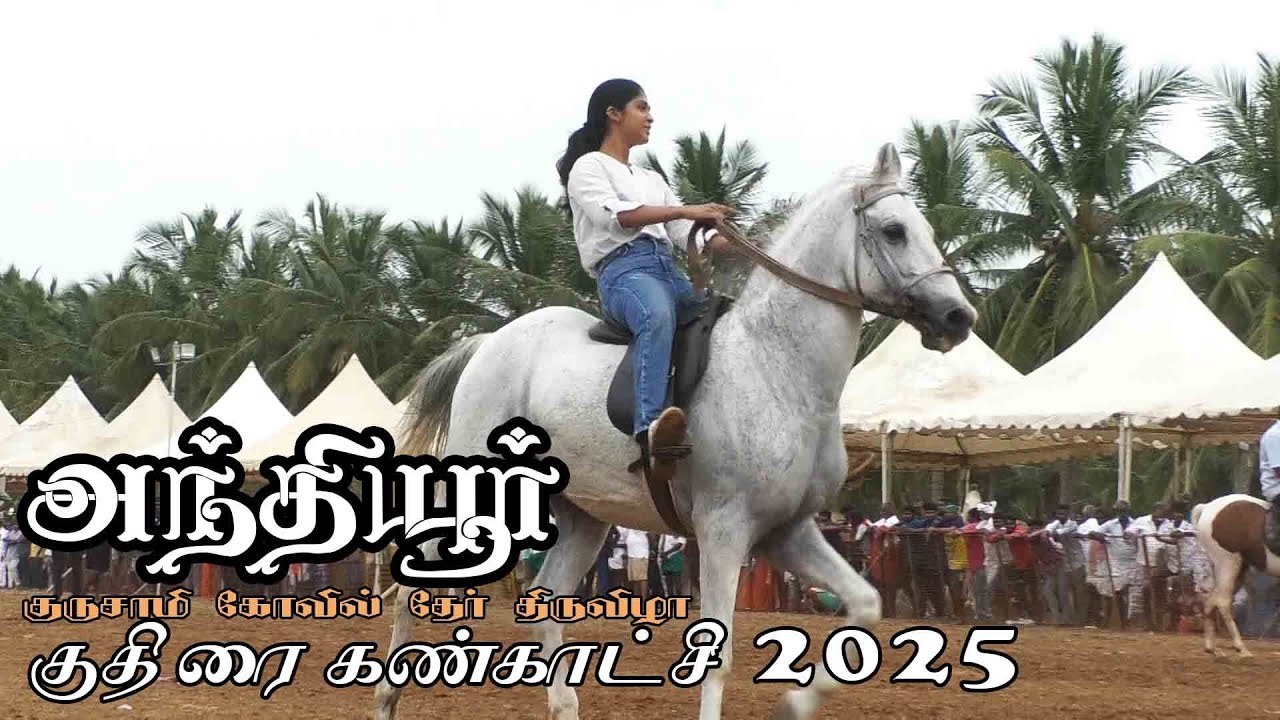Anthiyur Gurunathaswamy kovil kuthirai santhai | Anthiyur horse shows
