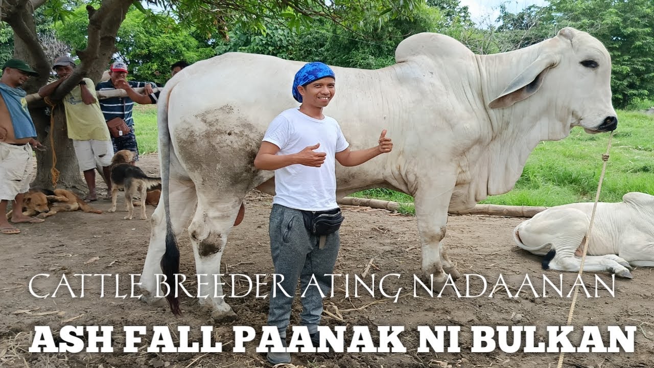 Anak ni Bulkan sa Lemery Batangas