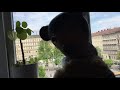 Seid Ihr Alle Daaaaaaa 