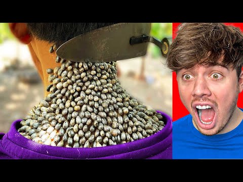 MEEST SATISFYING VIDEO TER WERELD!