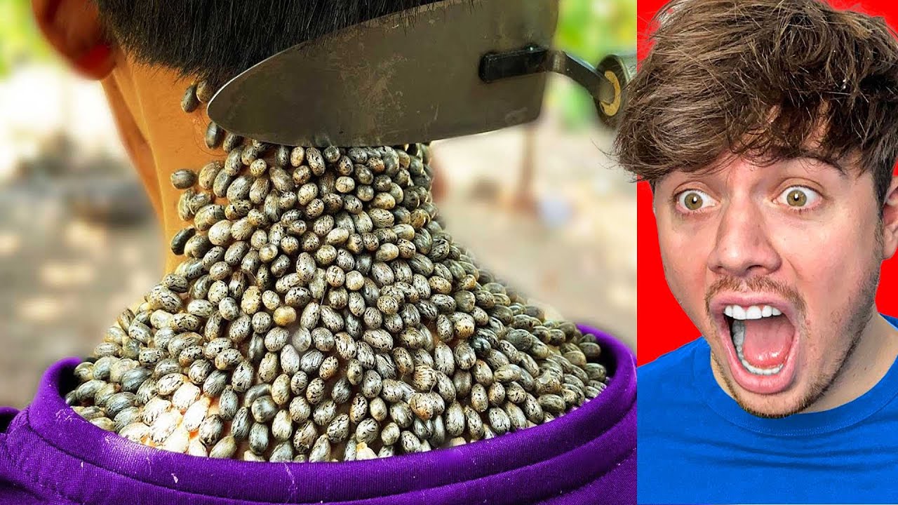 MEEST SATISFYING VIDEO TER WERELD!