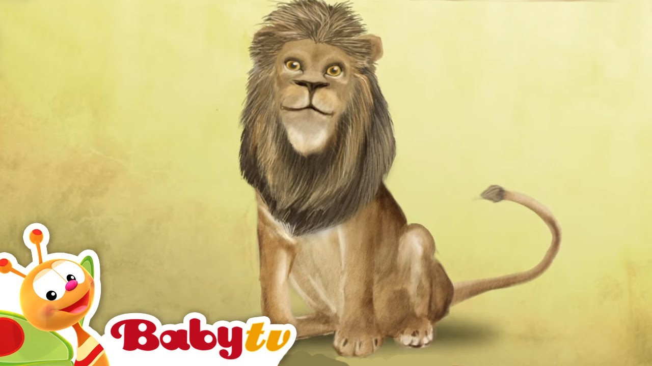 Lion | Animal Party | BabyTV - YouTube