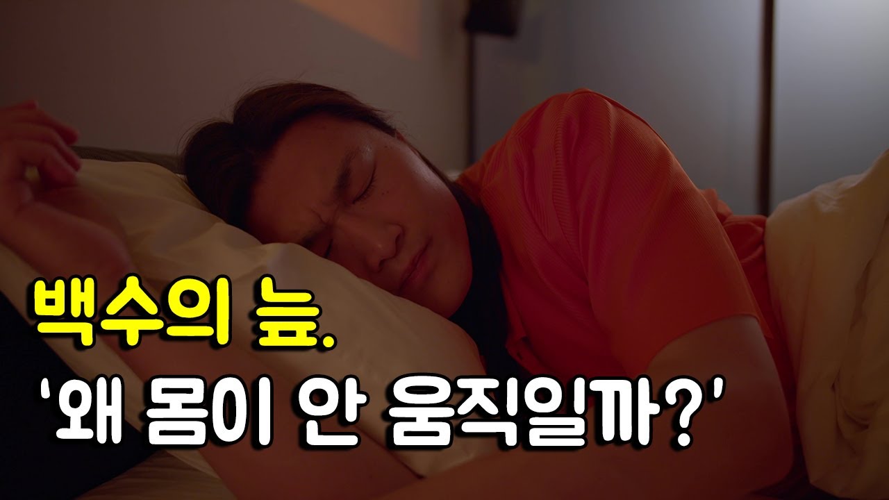 무기력에 빠진 백수 특징. (나도 내가 싫다.)