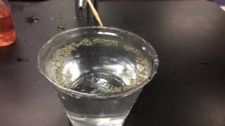 Science Slideshow