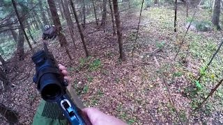 Охота #109 загонная, стрелял лося подранка Охота #109 загонная, стрелял лося подранка
