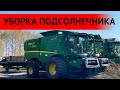 УБОРКА ПОДСОЛНЕЧНИКА. СТРАДА. JOHN DEERE КОМБАЙН. МТЗ-82