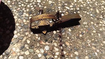 How to clean rust off of tools the natural way. Fast, cheap, easy!