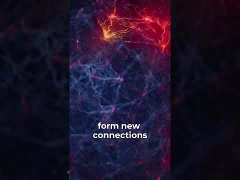 Neural Stem Cells