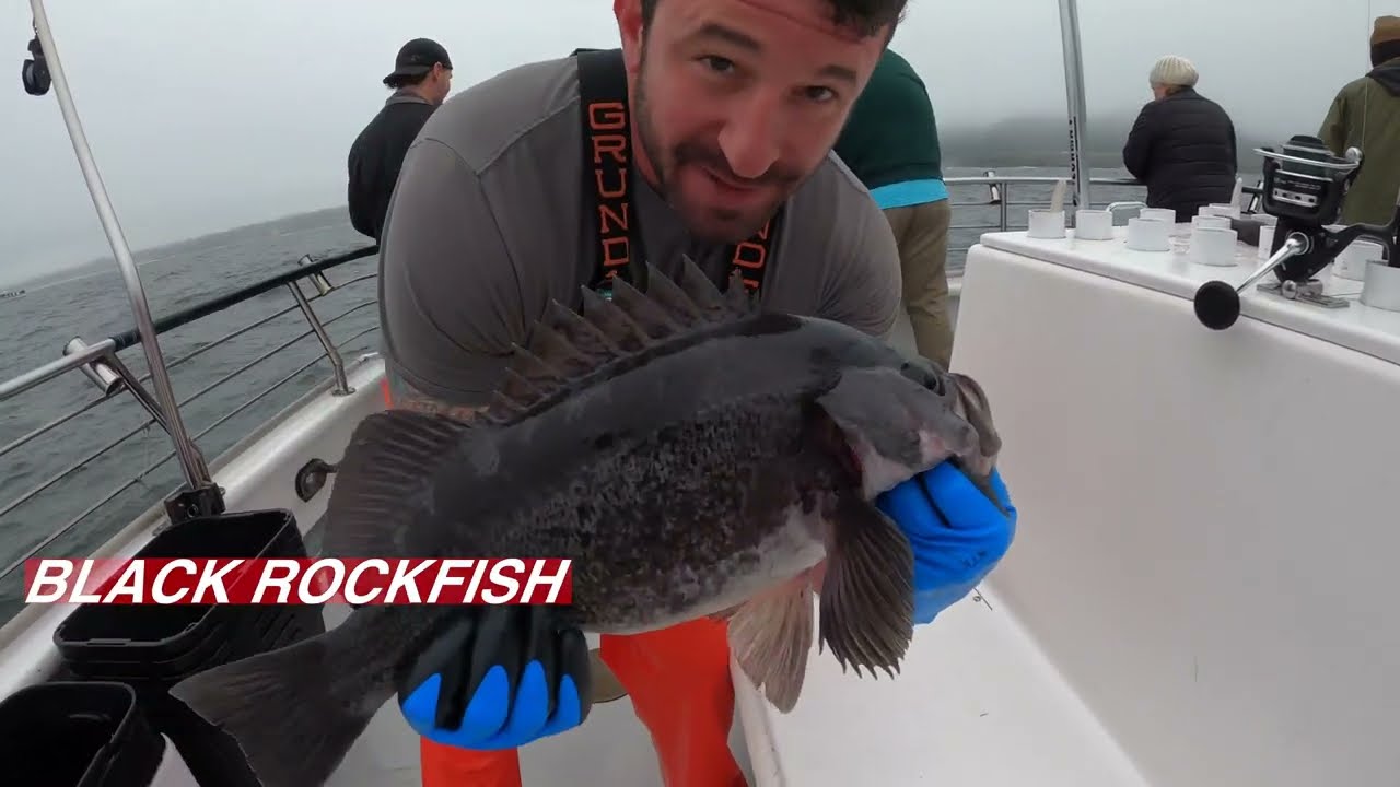 HOW TO CATCH ROCKFISH AND BIG LING COD!