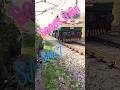Goods train smet section #viral #trending #shortvideo #shortsfeed #shorts #swr