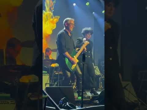 Why This Live Cover of 'A Letter to Elise' is So Special