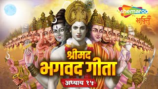 Watch on YouTube