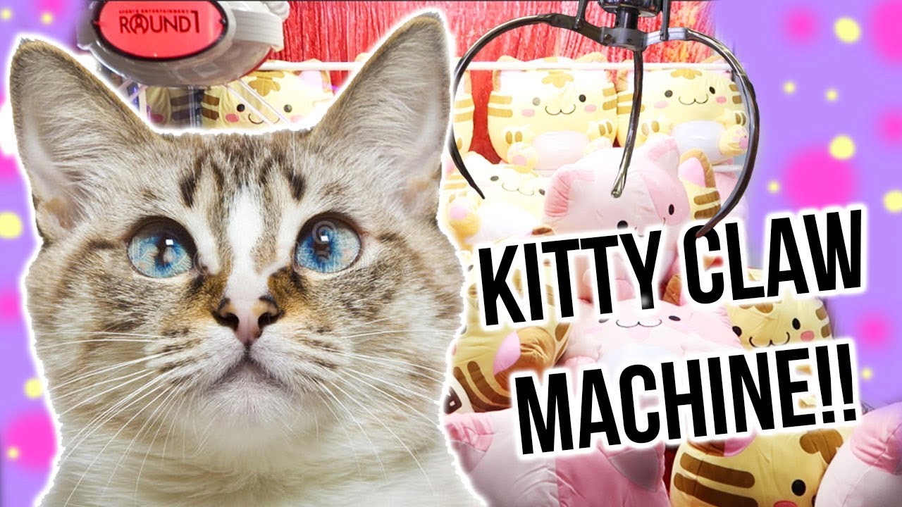 kitty claw
