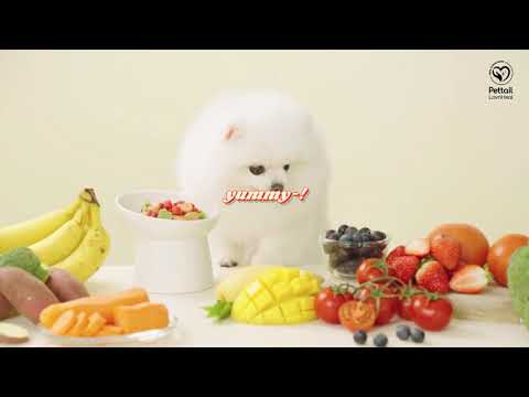 알러지 걱정 없는 #강아지간식 ❤️ #비건