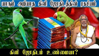 கிளி ஜோசியம் உண்மையா ? கிளி ஜோசியத்தின் ரகசியம் | Parrot Astrology | Kili Jothidaththin Rakasiyam screenshot 4