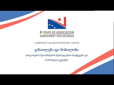 მანანა მიქაბერიძე - ასოცირების შეთანხმების შესრულების მიღწევები და სამომავლო გეგმები