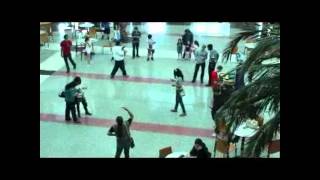 UH Freeze Mob Project