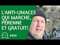 224lantilimace qui marche prenne et gratuit 