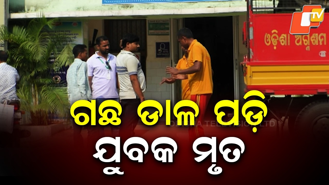 Man Dies After Being Crushed by Tree While Cutting Branch