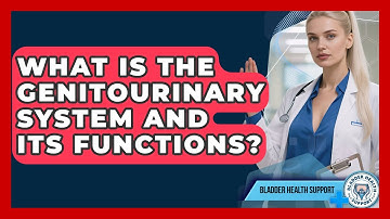 What Is the Genitourinary System and Its Functions? | Bladder Health Support News