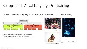 Dr Wei Zhang - DetClip: Open-Vocabulary Object Detection via Fine-grained Visual-language Alignment