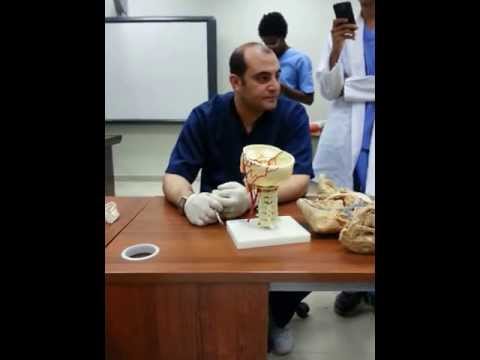 كلية طب الاسنان 2 