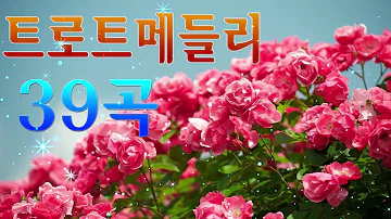 고없는 신나는 트로트 메들리 1시간 🍀 신나는 트로트🍀매일 들어도 좋은 노래 모음 아줌마 아저씨 신나는 트로트 메들리