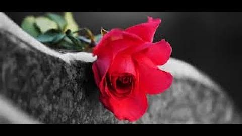 Doreen M  Miller's funeral 2019