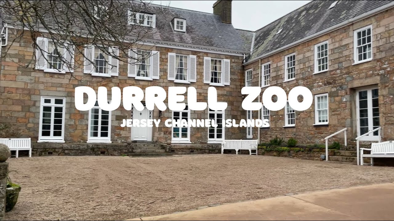 Durrell Zoo | Jersey Channel Islands | January 2026