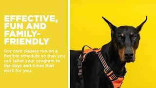 Sit Happens Companion Dog Training Consumer Choice Award