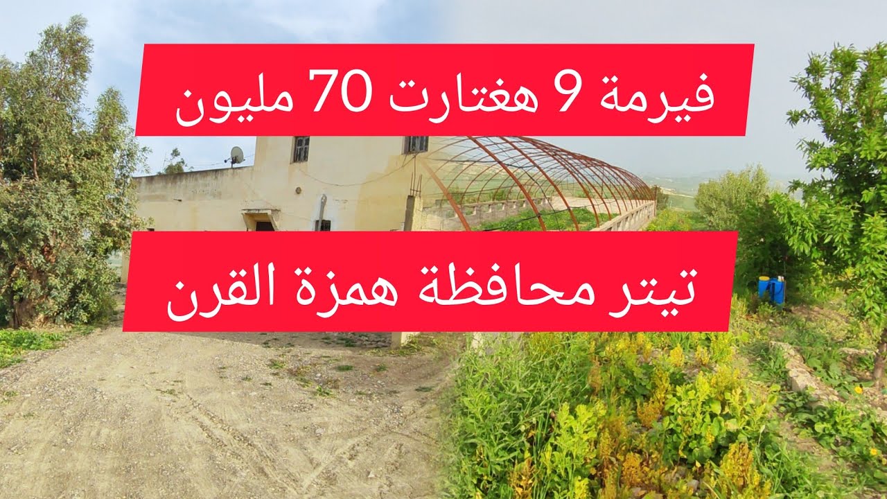 همزة القرن فيرمة فيها منزل 🏡 وكوري ديال دجاج 9 الهكتارات تيتر فونصي ب 70 مليون سنتيم 😱 #المغرب #ترند