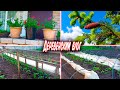 ПОТЕПЛЕЛО 🌞 ВЫСТАВИЛА ПЕТУНИИ 🌸 ПОСАДИЛА ПЕРЦЫ И ТОМАТЫ 🍅