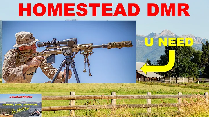 Best Homesteading DESIGNATED MARKSMAN RIFLE (DMR)