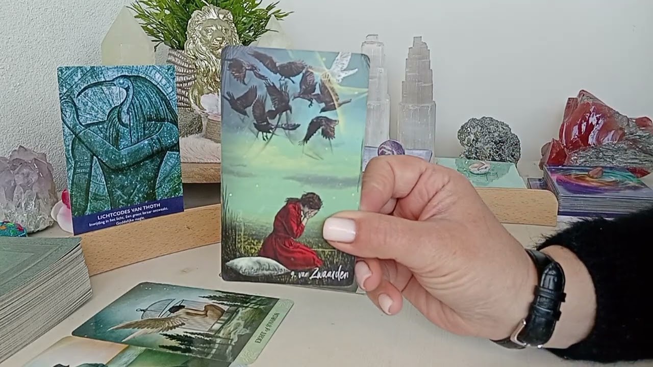 Leeuw ♌️ Wat is de energie voor de komende week? 😁🍀❤️