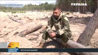 Объявили о первых результатах операции «Янтарь» в Ровенской области