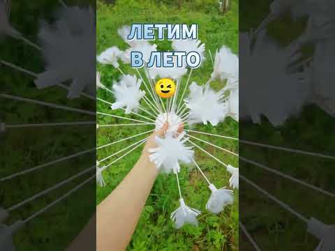 гигантский одуванчик делаем