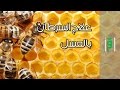 علاج السرطان عن طريق العسل -  الإستاذة رشا الحاج
