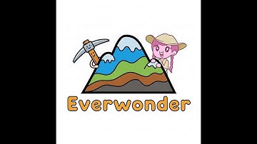 Lesson 1 Explain Index Fossils and their Impo